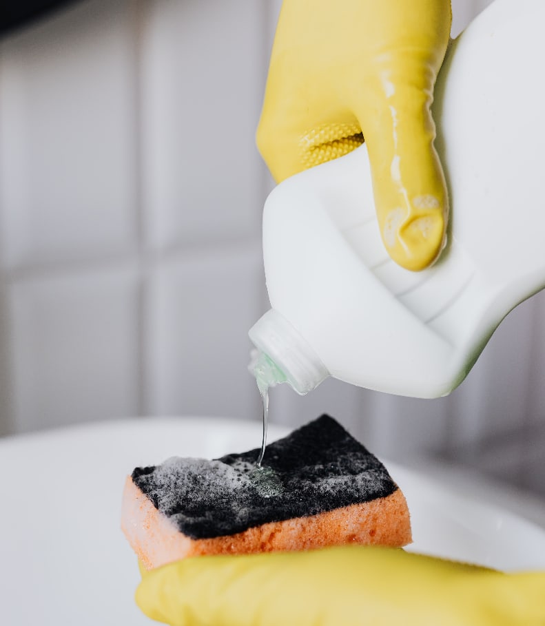 How to Clean a Litter Box • Stranded at Home™